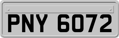 PNY6072