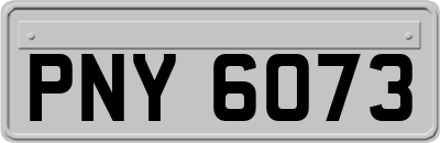 PNY6073