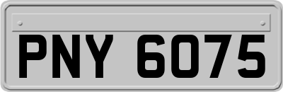 PNY6075