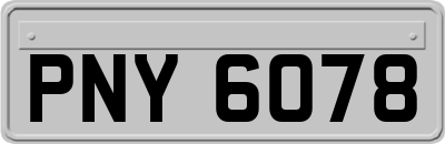 PNY6078
