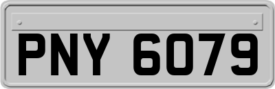 PNY6079