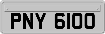 PNY6100