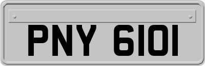 PNY6101