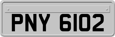 PNY6102