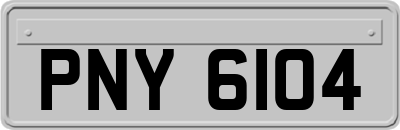PNY6104