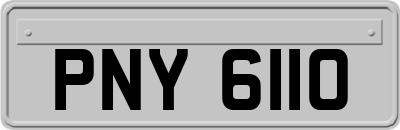 PNY6110
