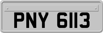 PNY6113