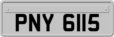 PNY6115