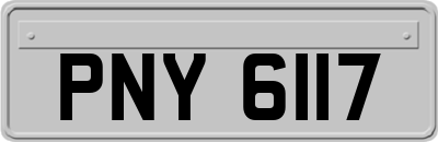 PNY6117