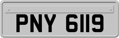 PNY6119