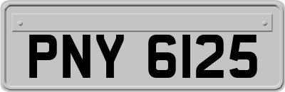 PNY6125
