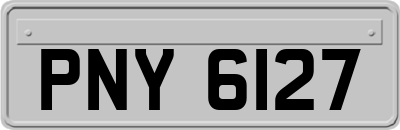 PNY6127