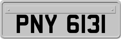 PNY6131