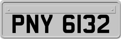 PNY6132