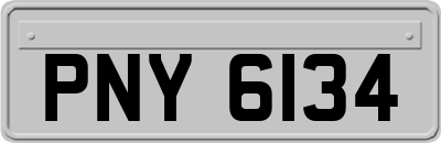 PNY6134