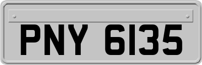 PNY6135