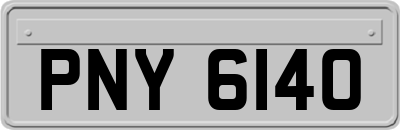 PNY6140