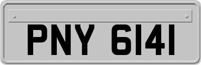 PNY6141