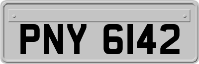 PNY6142