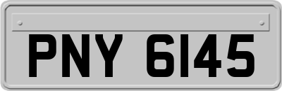 PNY6145