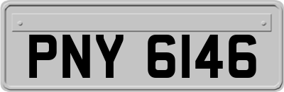 PNY6146