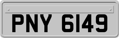 PNY6149