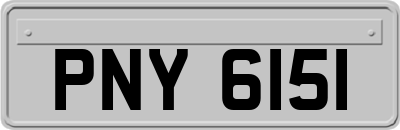 PNY6151