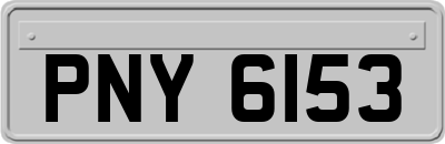 PNY6153