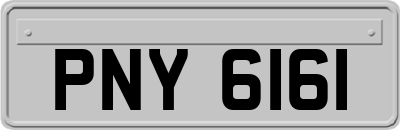 PNY6161