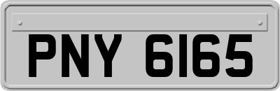 PNY6165