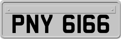 PNY6166