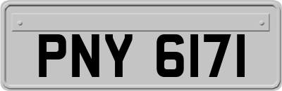 PNY6171