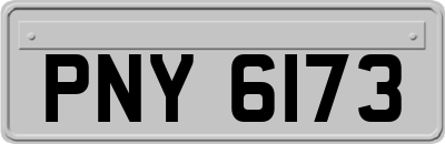 PNY6173