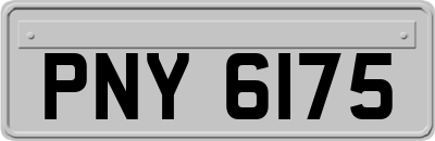 PNY6175