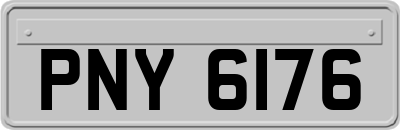 PNY6176