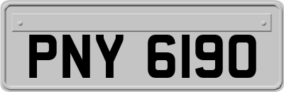 PNY6190