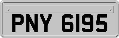 PNY6195