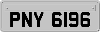 PNY6196