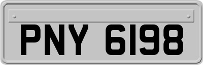 PNY6198