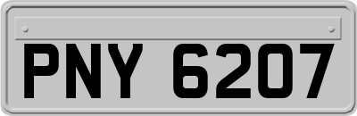 PNY6207