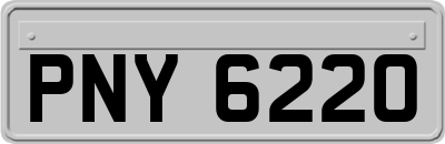 PNY6220