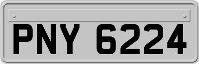 PNY6224