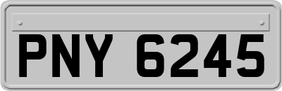 PNY6245