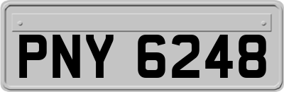PNY6248