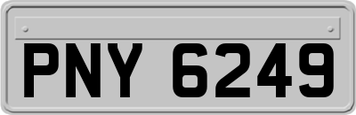 PNY6249