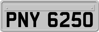 PNY6250
