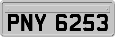 PNY6253
