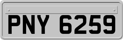 PNY6259