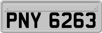 PNY6263