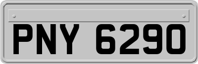 PNY6290